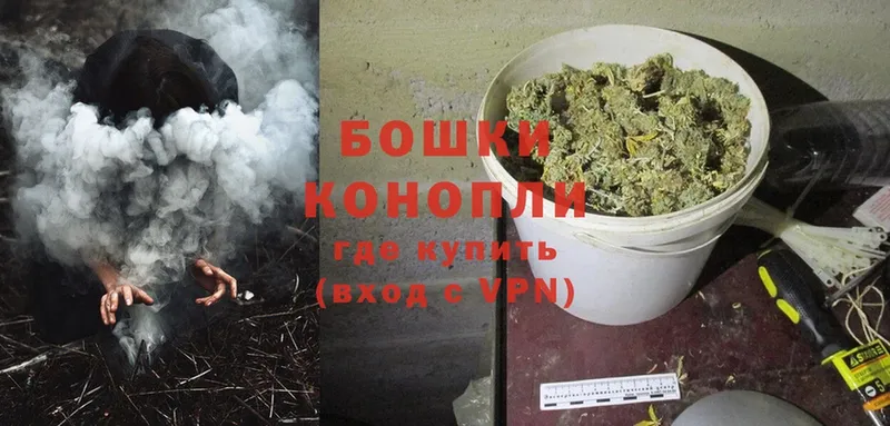 цены наркотик  Боровичи  Канабис Ganja 